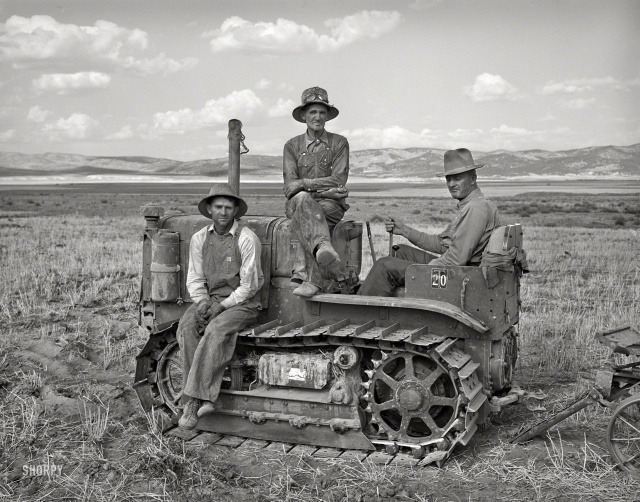 Фермеры в поле, округ Бокс-Элдер, штат Юта, август 1940 года