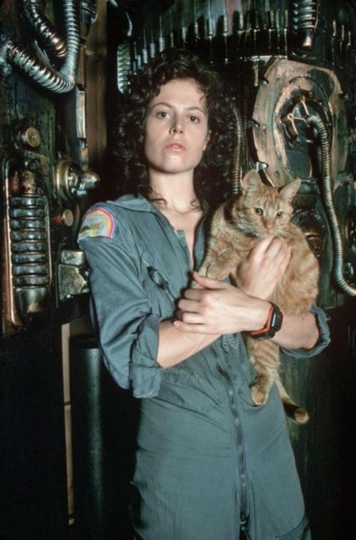 Сигурни Уивер (Элен Рипли) и кот Джонси (Джонси) на съемках фильма «Чужой», США, 1979 год