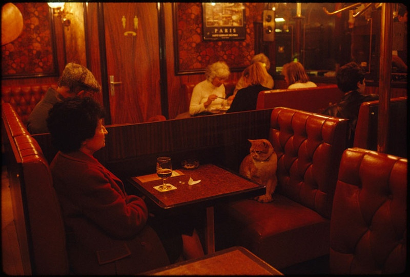 Постоянный посетитель ресторана Le Louis IX по прозвищу Карамелька развлекает клиента. Париж, май 1988