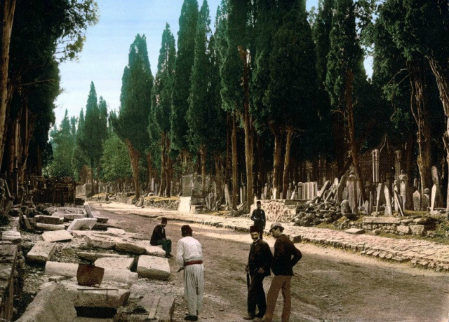 Кипарисы вдоль дороги на кладбище. Константинополь, 1890 год