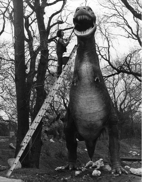 Чистка зубов статуи тиранозавра в зоопарке города Бирмингем. Англия, 1980-е годы.