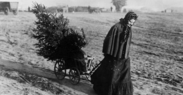 Женщина купила елку на рождественском базаре, 1895 год