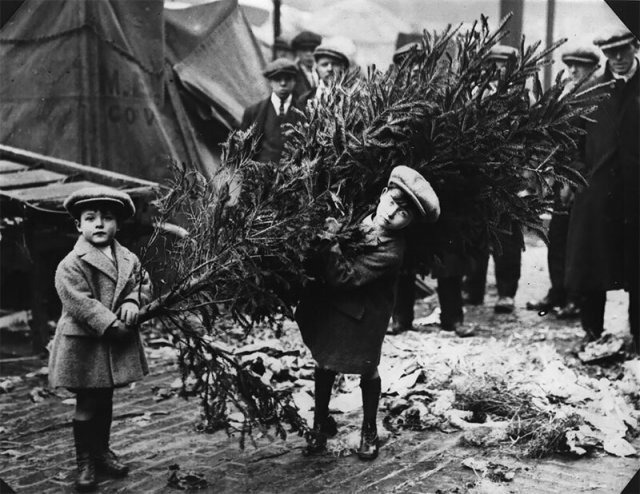 Дети забирают елку с рынка на Ковент-Гарден, Лондон, 1920 год