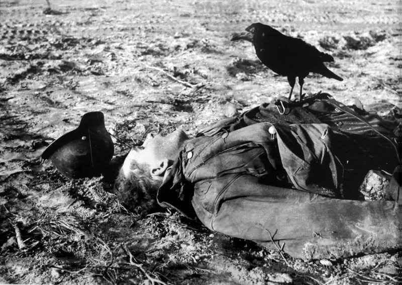 Ворон, сидящий на теле убитого немецкого солдата