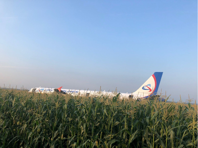 Самолёт «Уральских авиалиний» Airbus A321 летевший из Москвы в Симферополь совершил жёсткую аварийную посадку на кукурузном поле в Подмосковье.