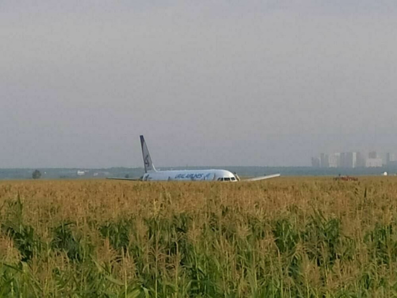 Самолёт совершил аварийную посадку на кукурузном поле