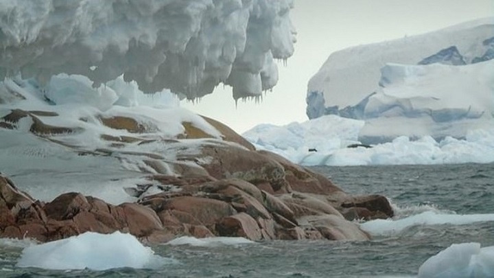 В Антарктиде обнаружен остров из гранита