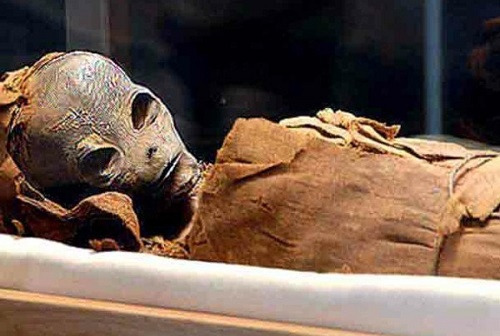 Саркофаг с инопланетной мумией