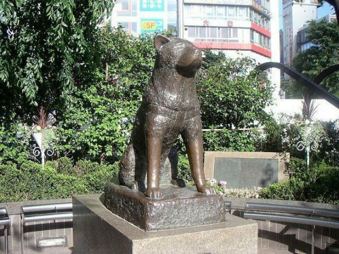Памятник Хатико в Токио