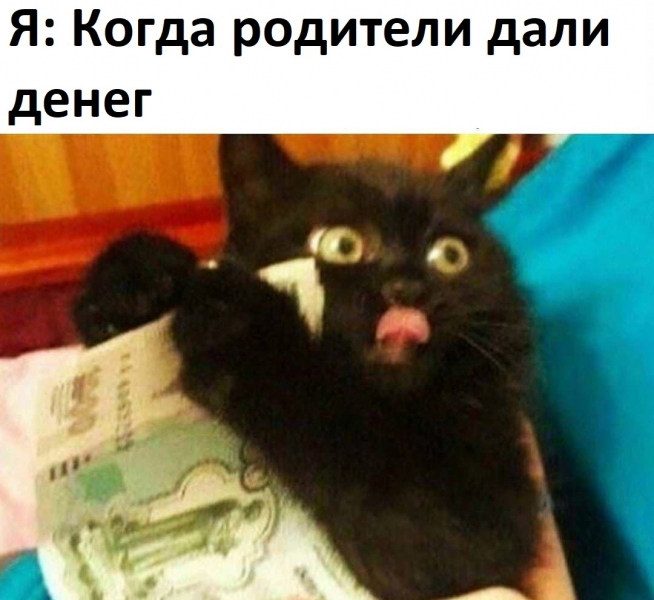 мемы